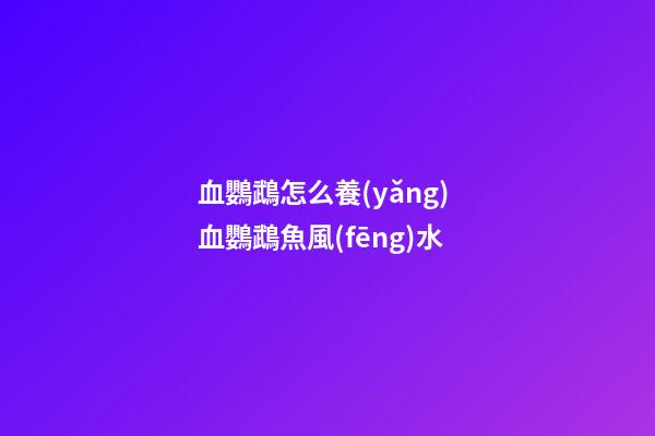 血鸚鵡怎么養(yǎng) 血鸚鵡魚風(fēng)水